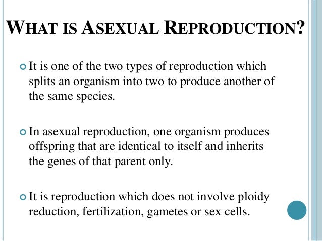 What is a asexual reproduction images 89